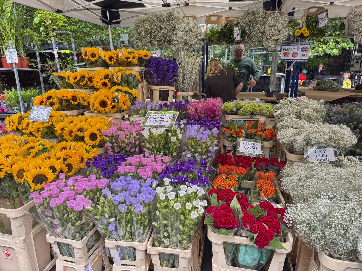 Buckets of flowers and plants on stalls along Columbia Road Flower Market in East London