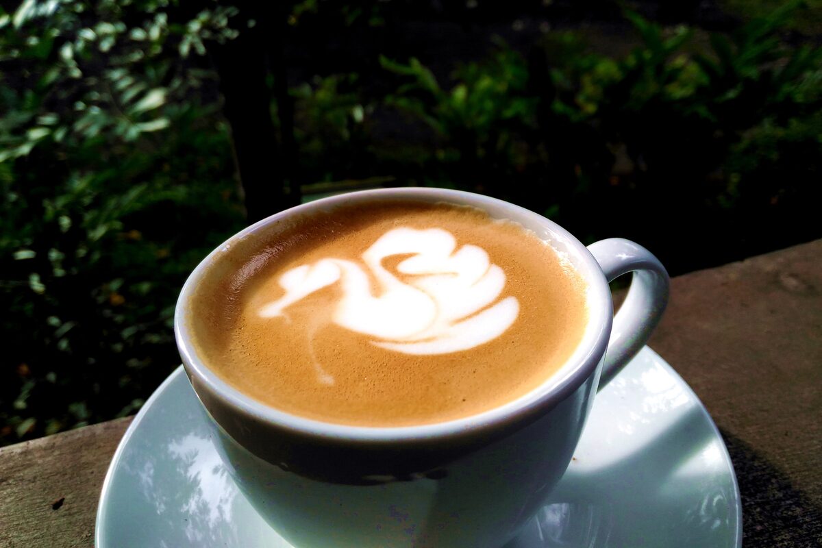 A cup of coffee with a swan in the latte art, on a saucer