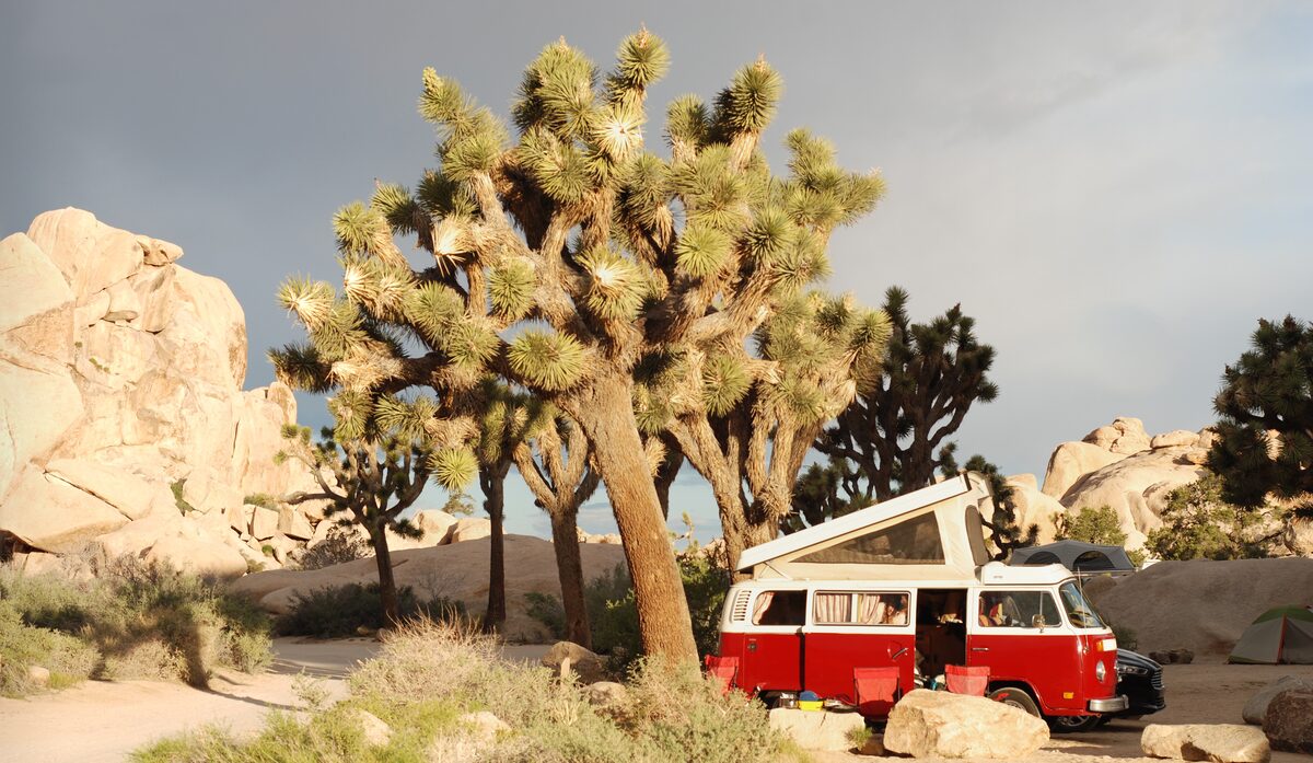 Joshua trees and pale granite boulders in Joshua Tree National Park, with a camper van parked among them