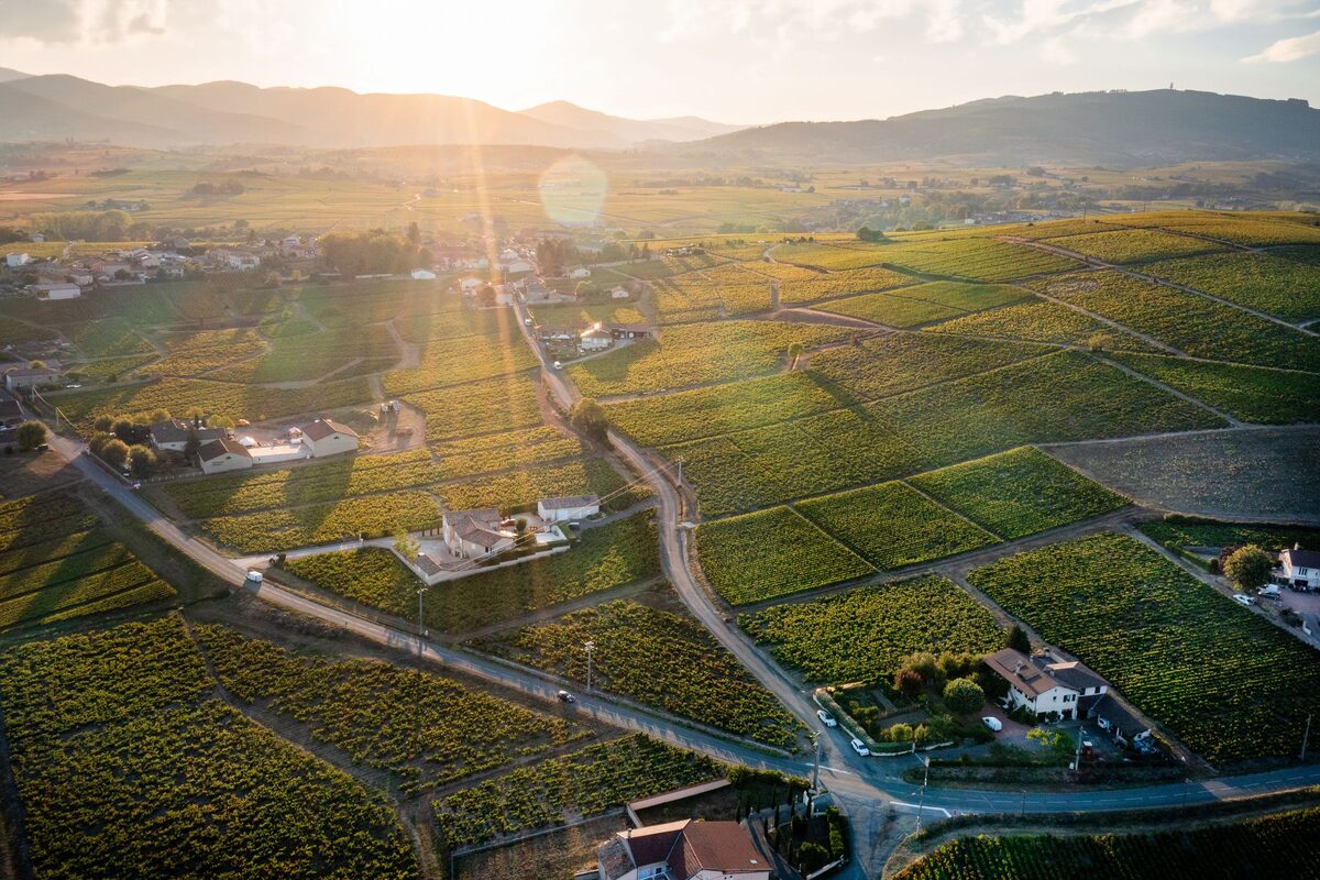 Aerial view of the vineyards around Villié-Morgon in the golden light of sunrise, with farm roads and hills behind