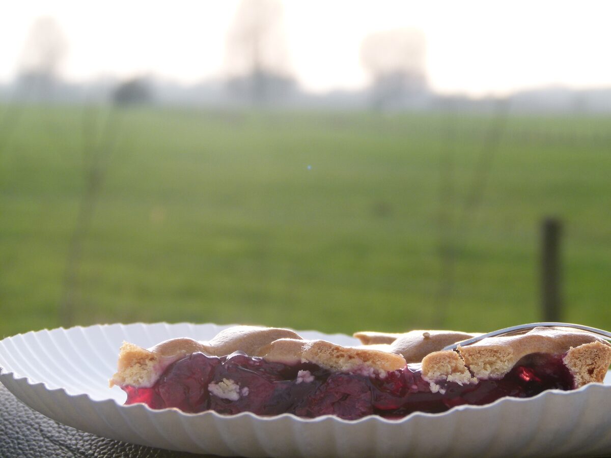 A slice of cherry vlaai with a lattice top on a paper plate, with a green Limburg field behind