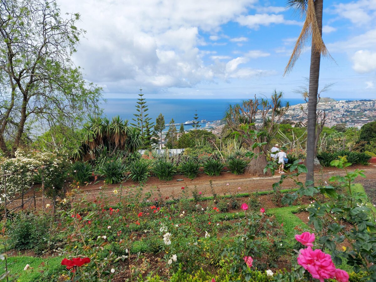 Rose beds and palms in the Funchal Botanical Garden, with the city and bay far below