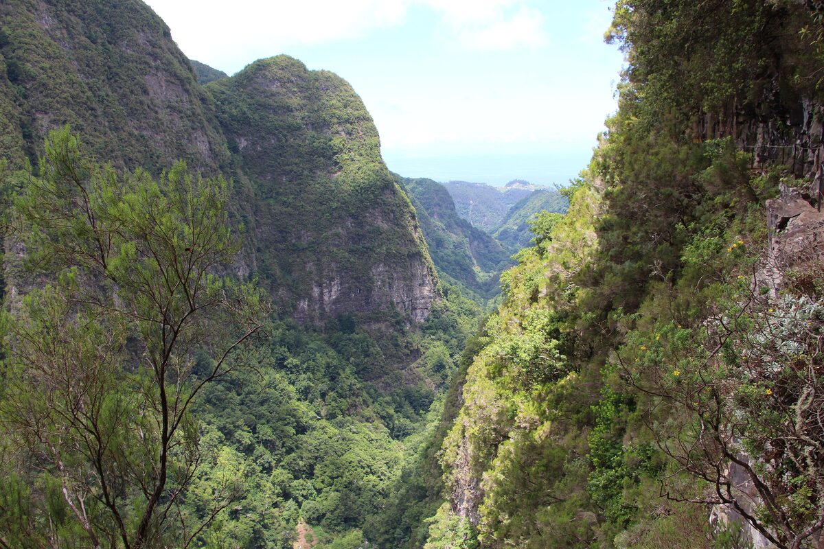 A steep green gorge with dense forest and cliffs on both sides, seen from the Caldeirão Verde levada