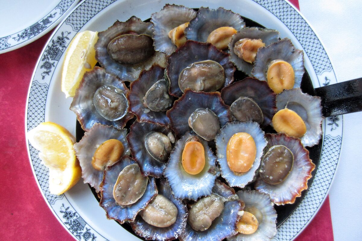 A platter of grilled limpets in their shells with lemon wedges, on a blue-patterned plate