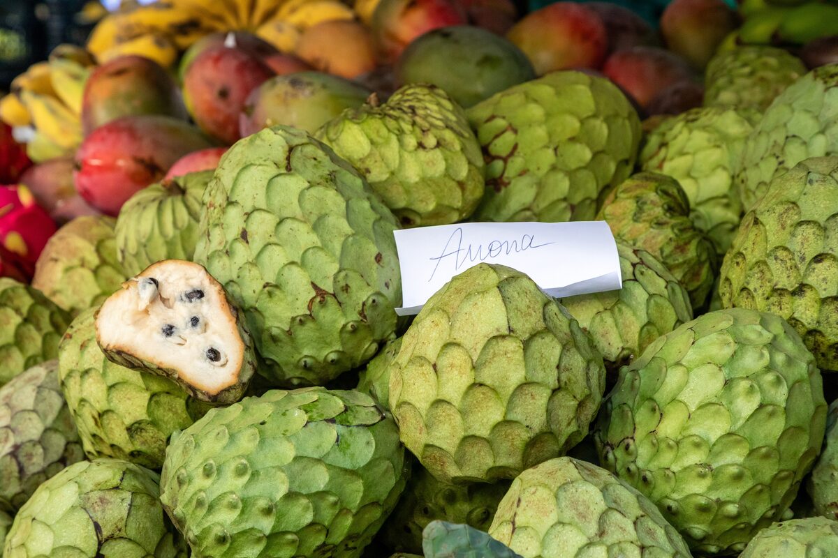 Green custard apples piled high at a fruit stall in the market, with a handwritten price card