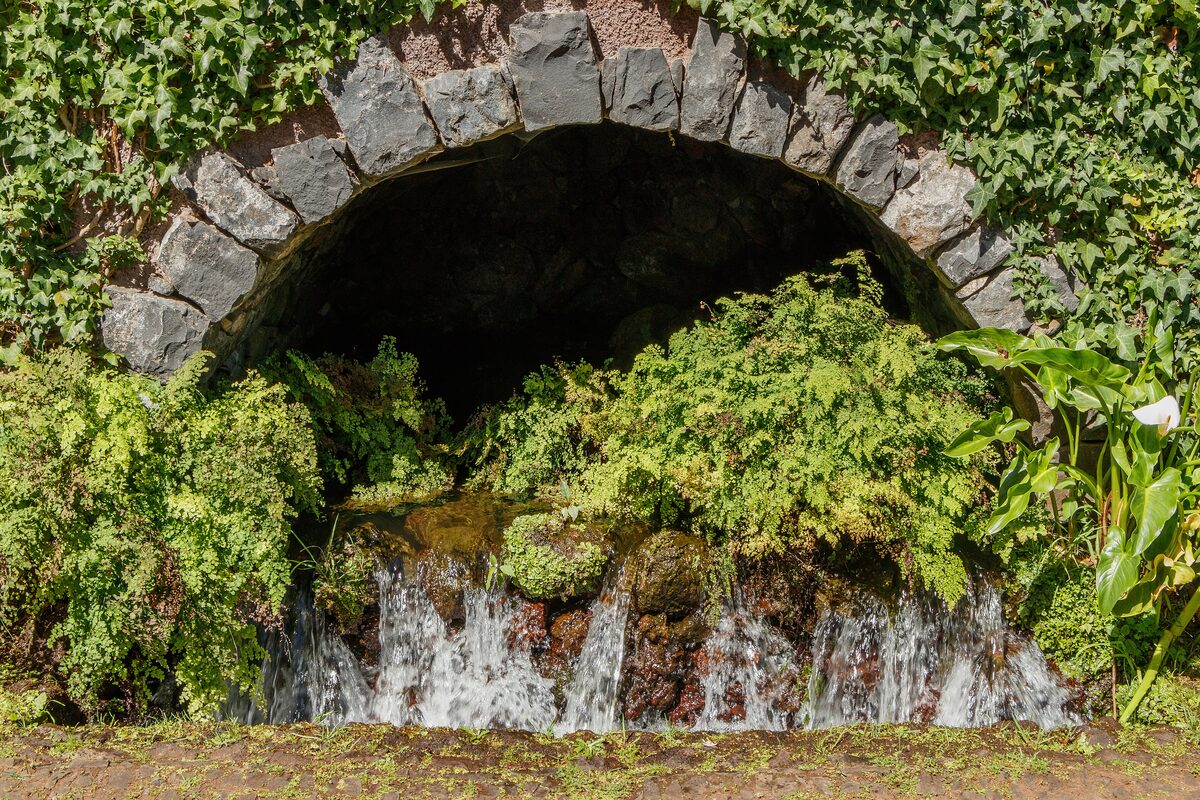 Water spilling from a stone arch into a pool, framed by ferns and tropical leaves in the Monte Palace garden