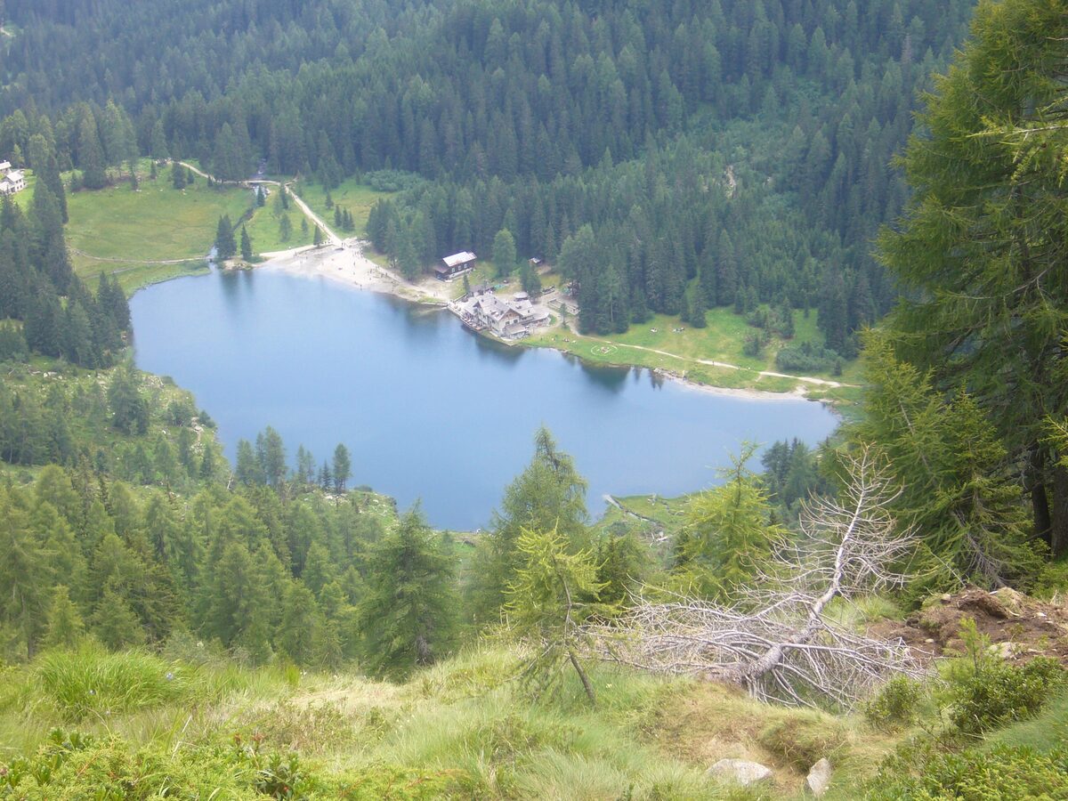 Lake Nambino in summer, seen from above, with a larch and spruce forest around it
