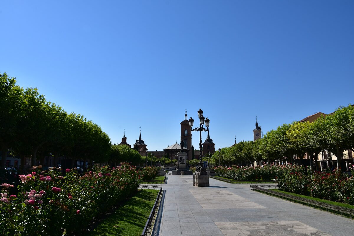 The tree-lined Plaza de Cervantes in Alcalá de Henares, with a statue at the far end