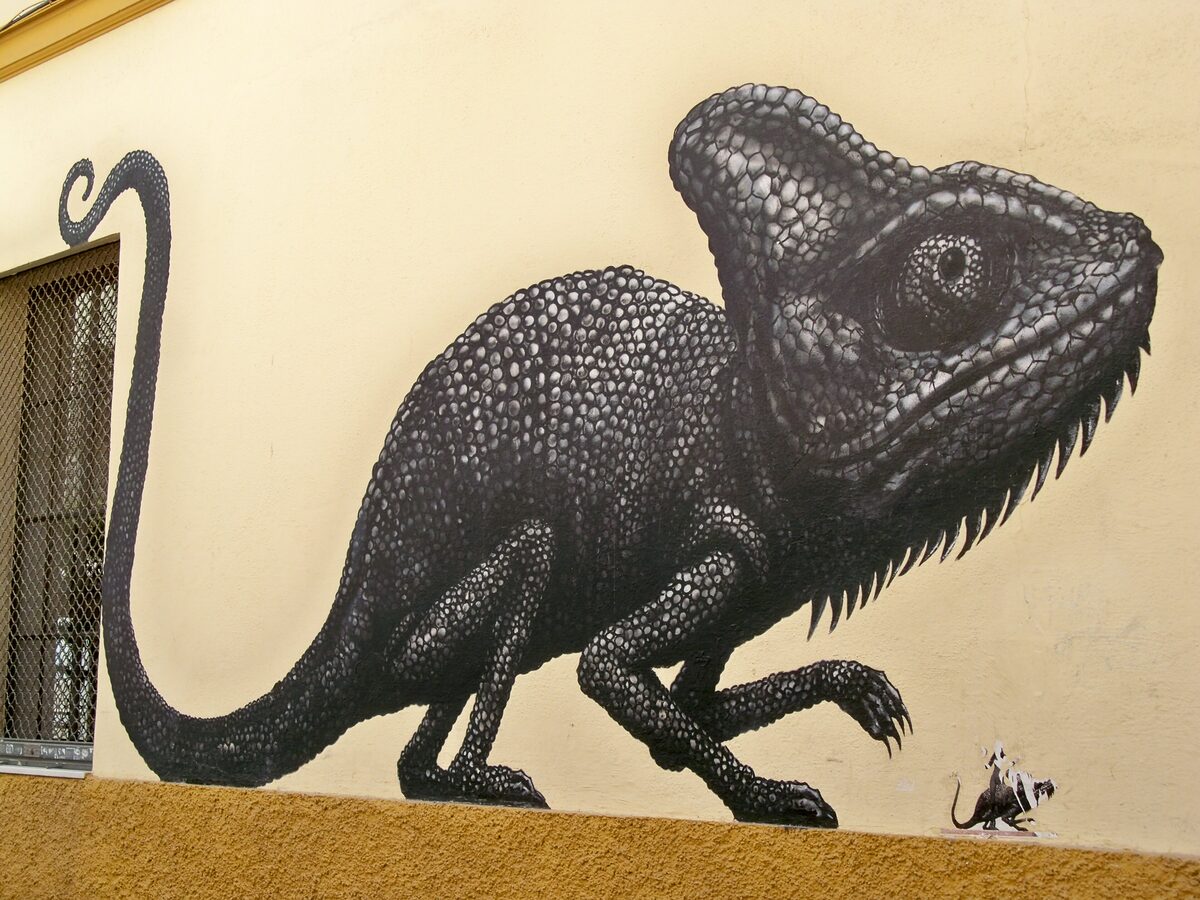 A black chameleon mural by the street artist ROA on a yellow wall in Soho