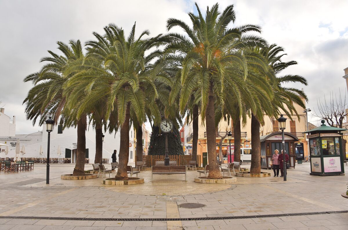 The palm-lined Plaça d'Alfons III in Ciutadella, Menorca, with the town's old buildings around the square