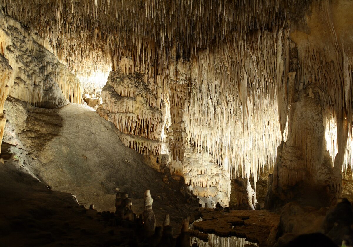 Stalactites and stalagmites lit in gold inside one of the Caves of Drach, with the pale rock formations rising from the floor