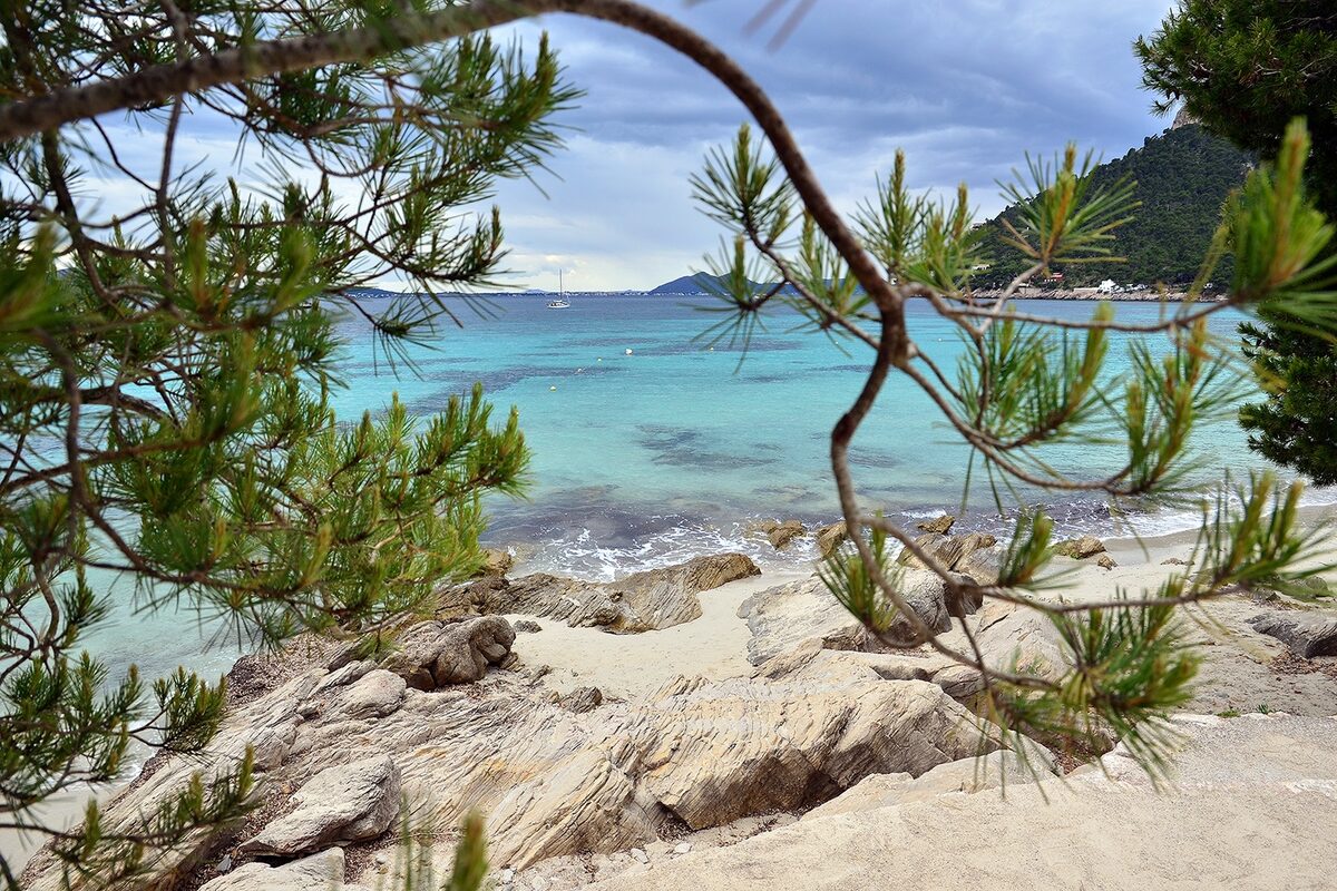 Turquoise water and pale sand at Formentor Beach, with pine trees and rocks along the shore