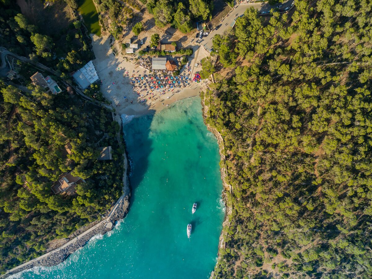 Aerial view of a turquoise cove at Cala Mondragó, with a sandy beach, pine trees and rocky cliffs around the water