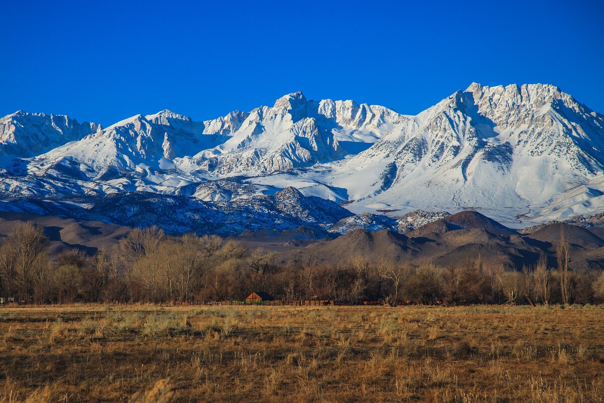 Snow-covered Sierra crest rising above the dry fields near Bishop