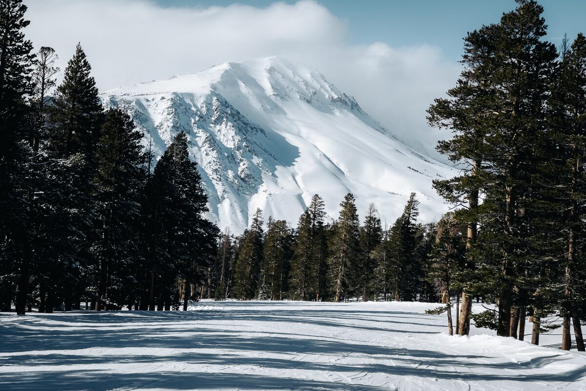 Snowy pines and a peak seen from the slopes of June Mountain
