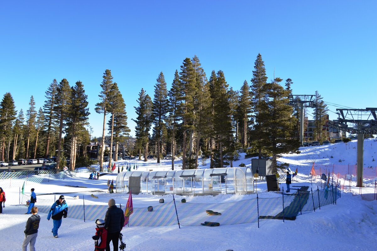 A fenced snowy lift base among pines at Canyon Lodge