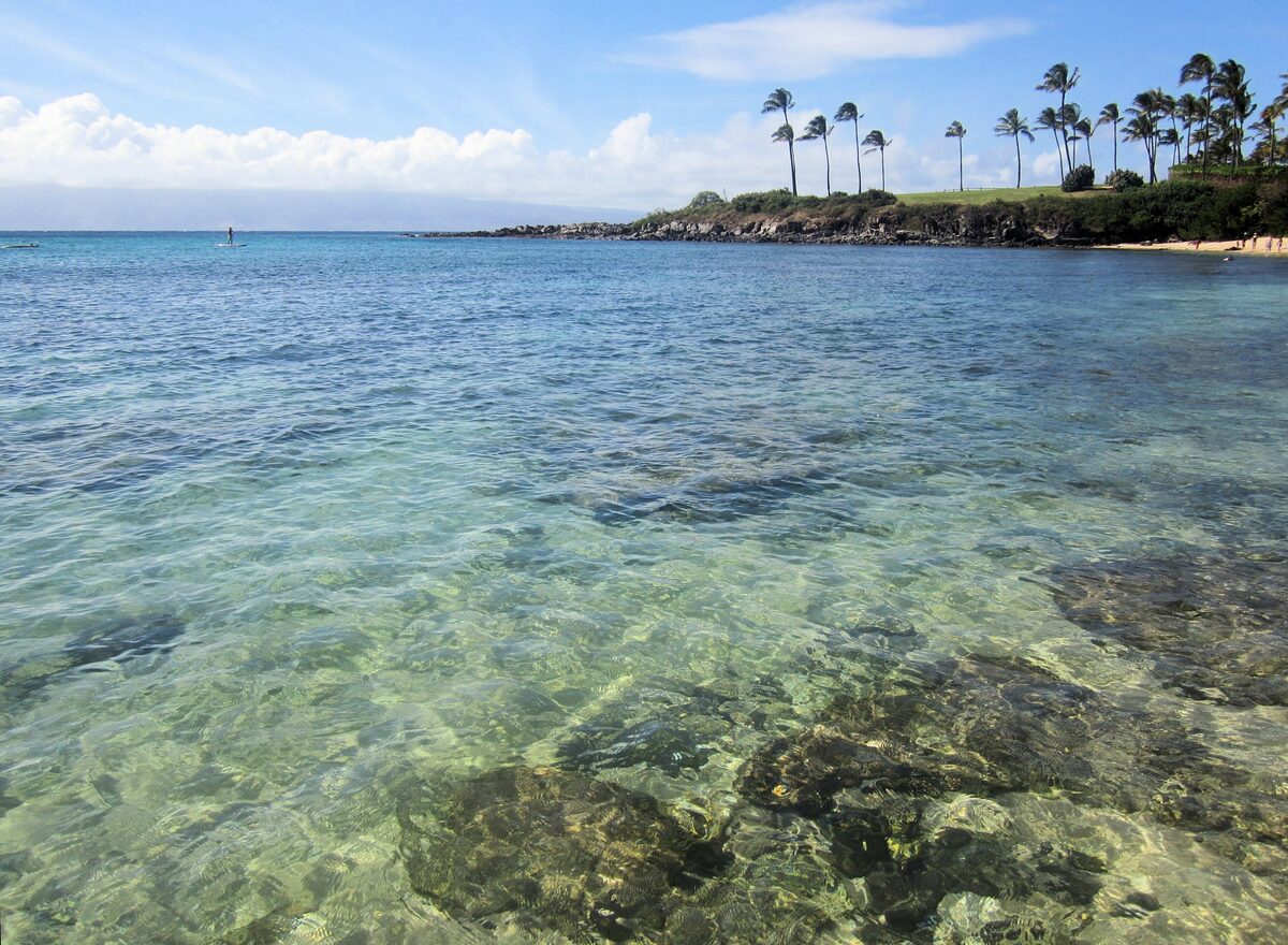 Clear green-blue water at Kapalua Bay with palm trees on the point