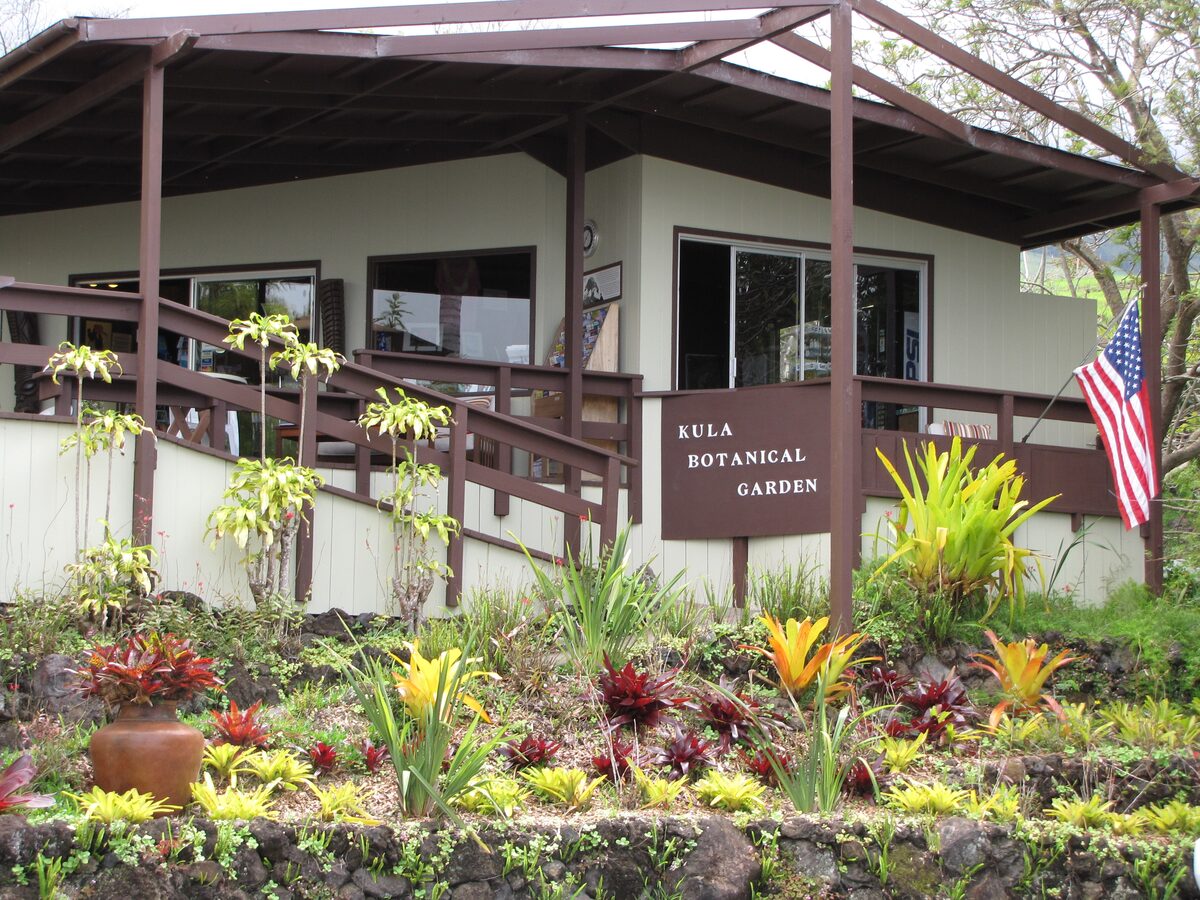 The entrance of Kula Botanical Garden, with bright bromeliads in the beds