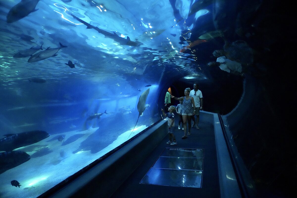 Visitors walking through the glass tunnel at the Maui Ocean Center aquarium
