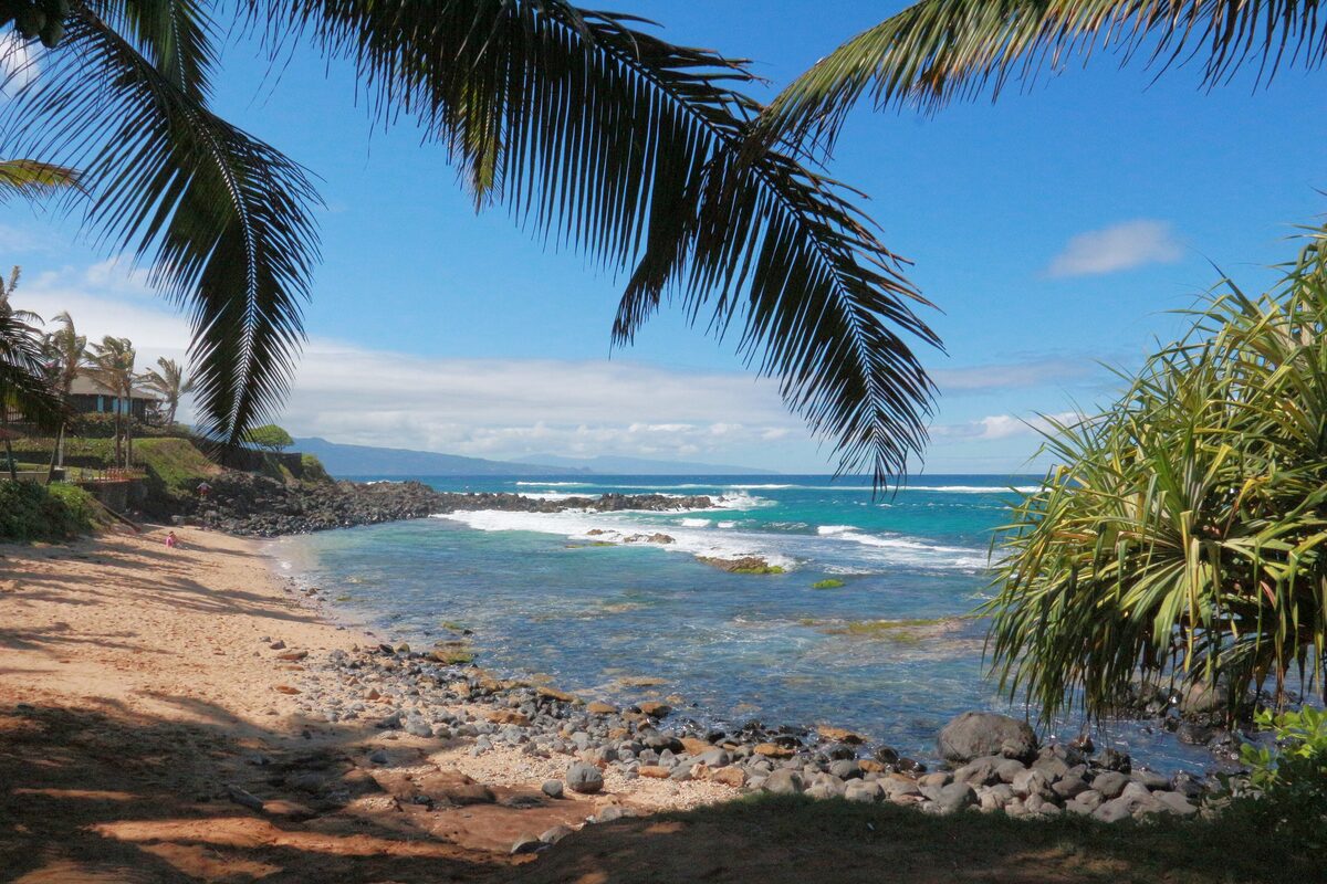 A sandy cove and blue surf framed by palm fronds at Kuau, near Pāʻia