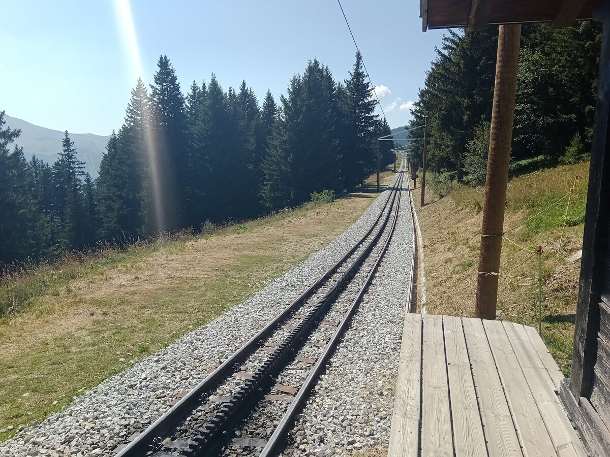 Rack-rail track of the Mont-Blanc tramway climbing through the forest near Bellevue