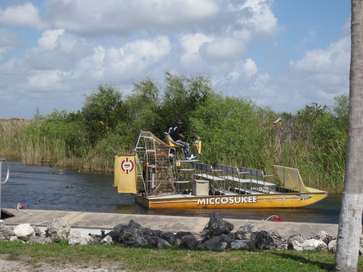 A yellow airboat with rows of seats and a big rear fan at a canal landing, with sawgrass and green bushes behind it