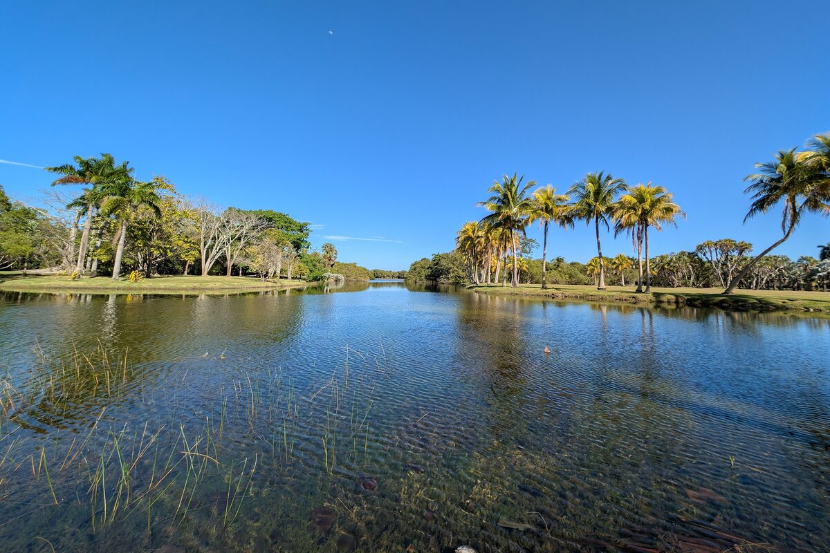 A lake at Fairchild Tropical Botanic Garden, with palms along the far bank under a deep blue sky