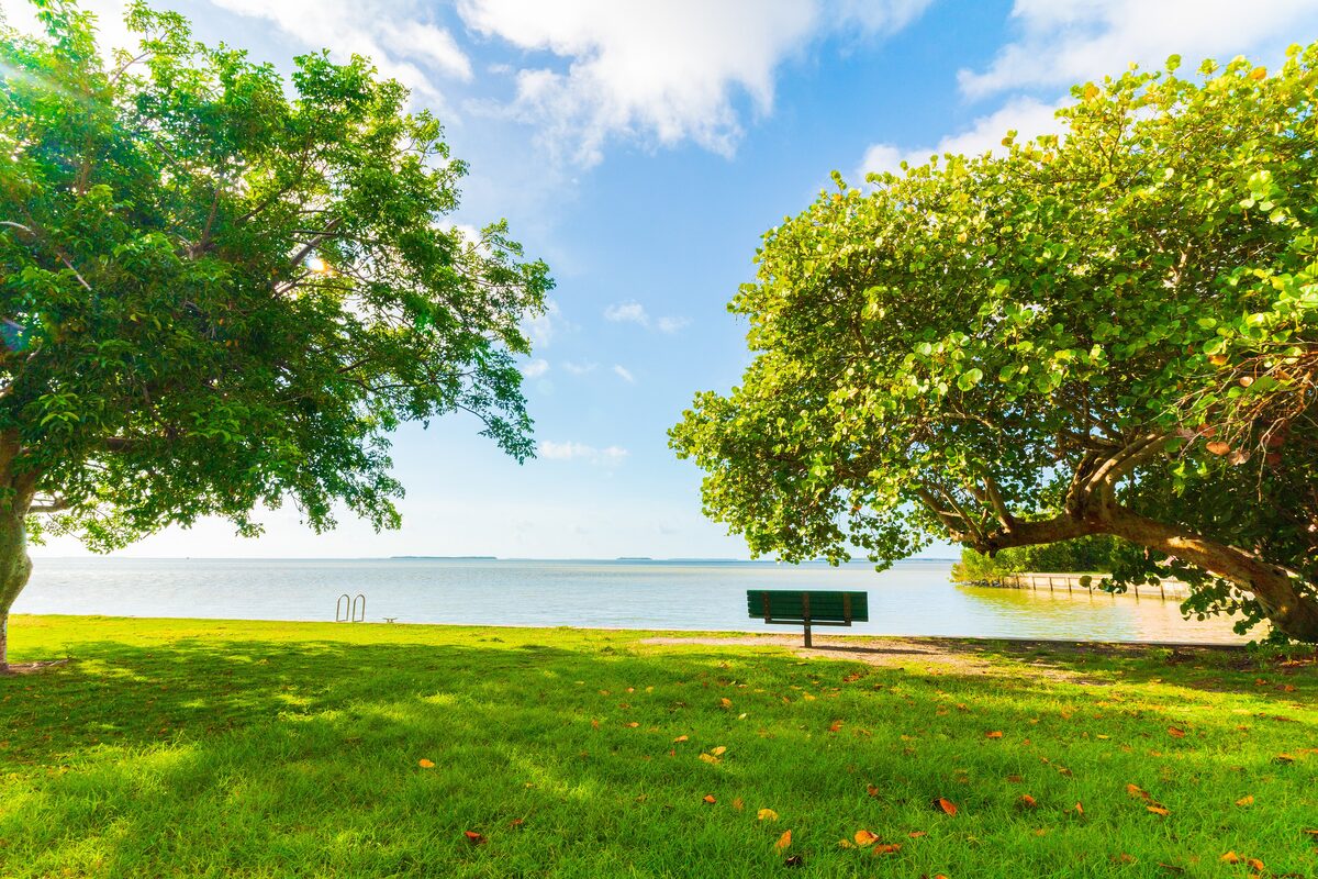 A green lawn at Flamingo with two shade trees and a bench facing the calm water of Florida Bay