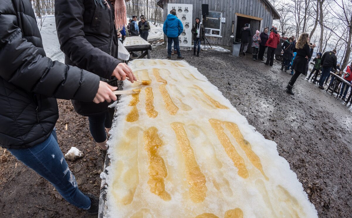 Visitors at a sugar shack in the Quebec countryside making maple taffy, hot syrup poured in lines on a long trough of snow