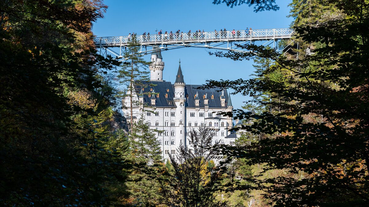 Neuschwanstein Castle framed by trees, with the Marienbrücke and a line of visitors on it above