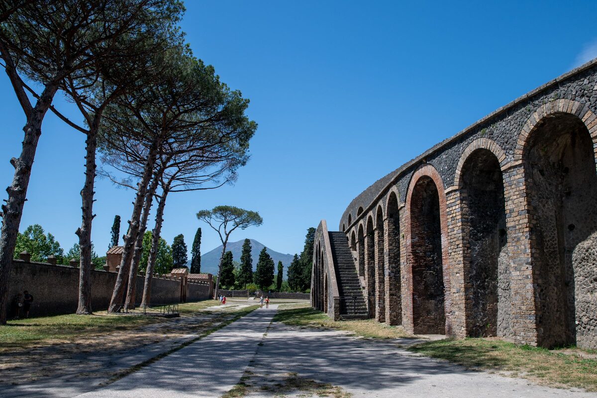 The arcaded stone wall of Pompeii's amphitheater beside a path lined with tall umbrella pines under a clear blue sky