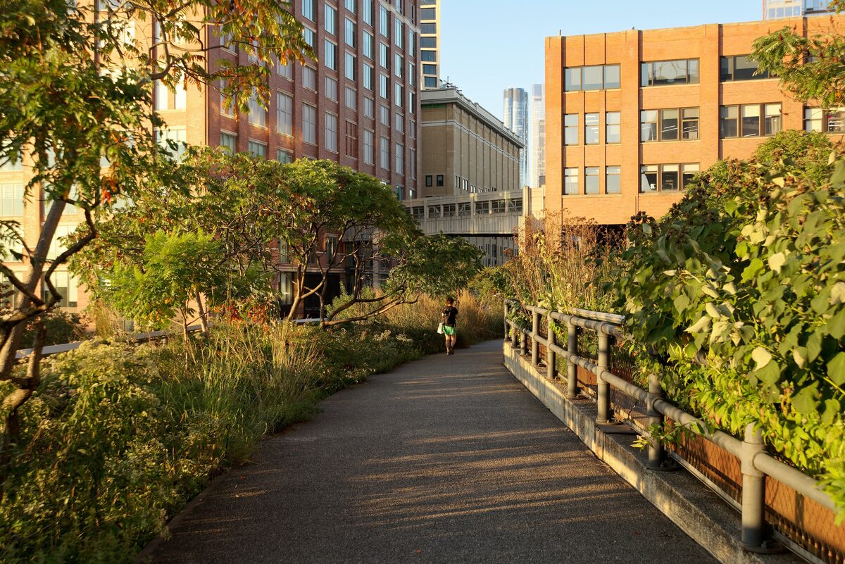 The High Line elevated park with a path winding through tall grasses and shrubs between brick buildings