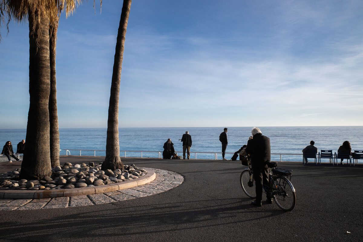 Two palm trees on the Promenade des Anglais, with people at the railing and a man with a bicycle looking out over the sea
