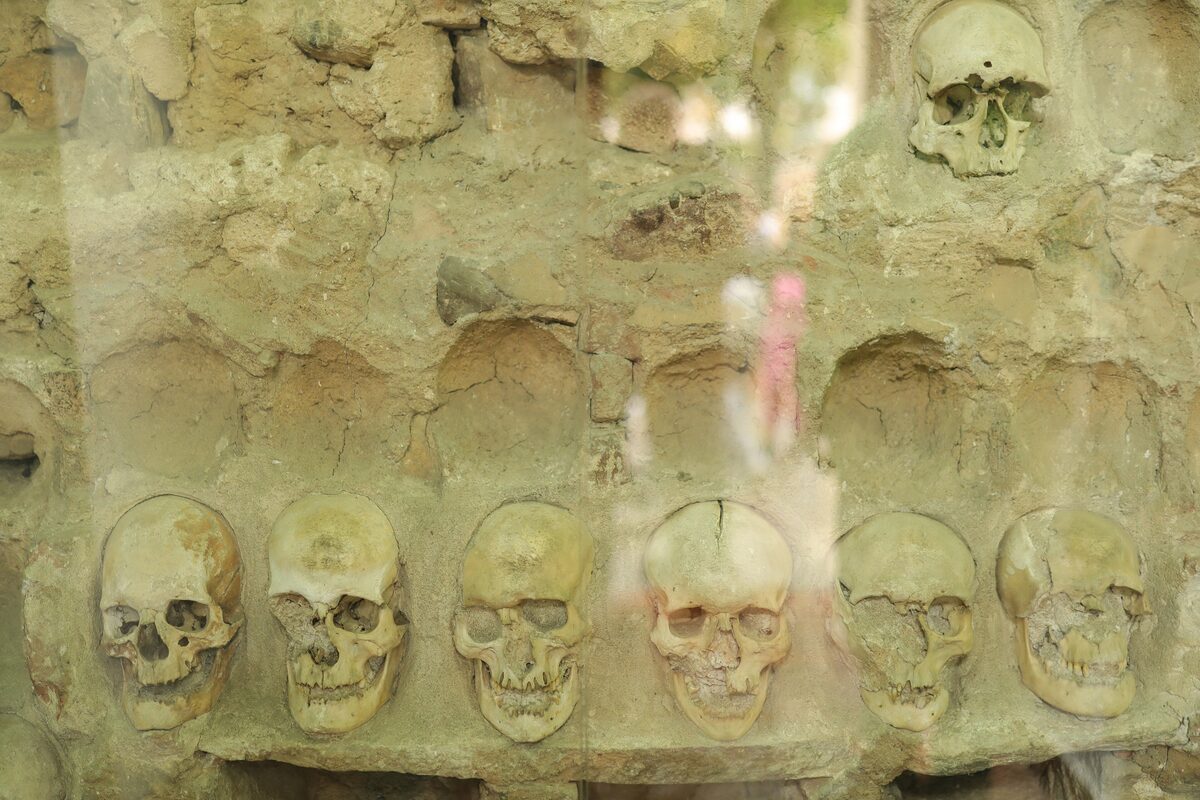 A row of human skulls still set into the stone wall of Ćele kula, seen through the protective glass, with empty sockets where others once were.