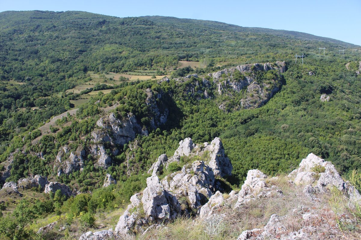 Jagged grey limestone crags rising from the wooded slopes of the Jelašnica gorge on a clear summer day.