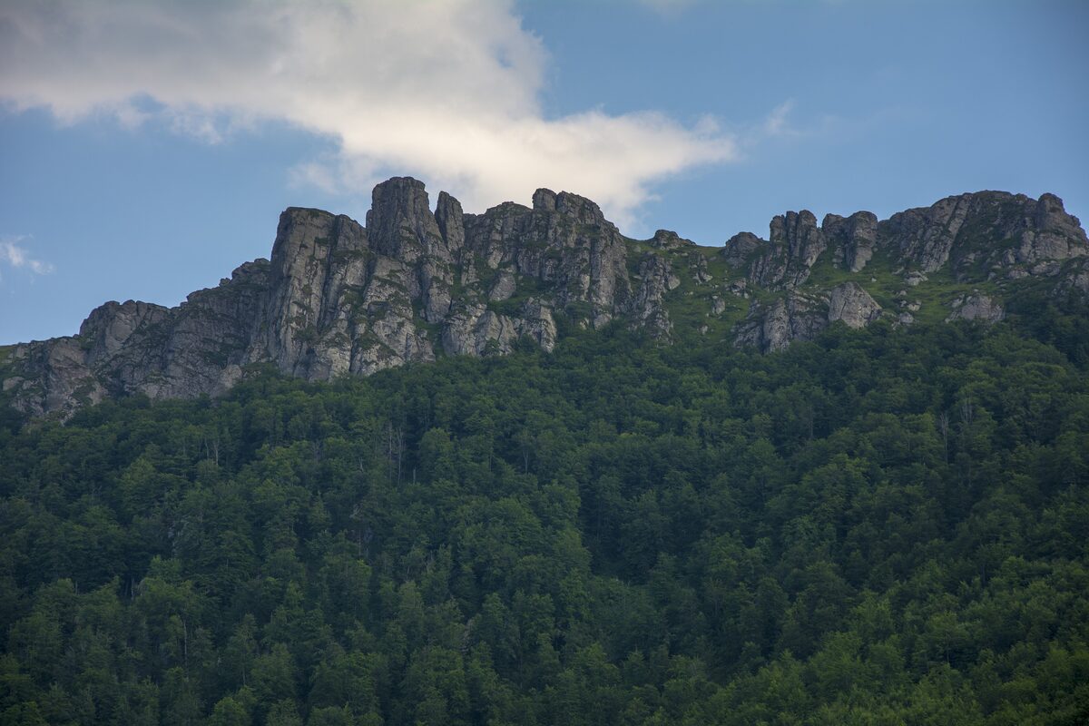 The jagged rock crest of Babin zub on Stara planina rising above a thick beech forest under a blue sky with a passing cloud.