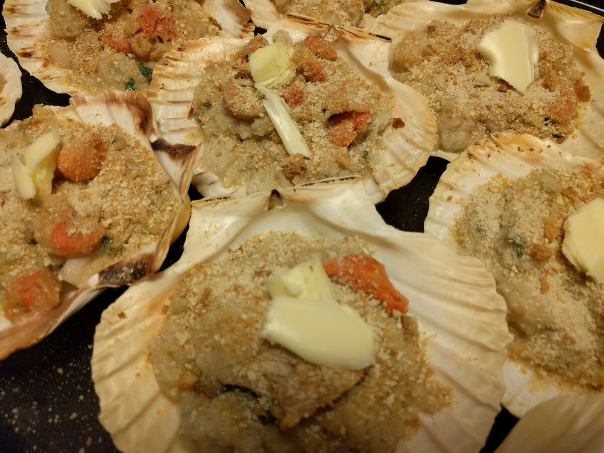 Scallops in their shells, topped with golden breadcrumbs and a knob of butter