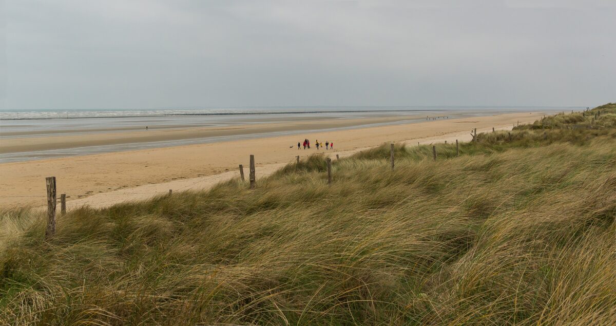 The wide sand of Utah Beach at low tide, with the dunes and marram grass in the foreground