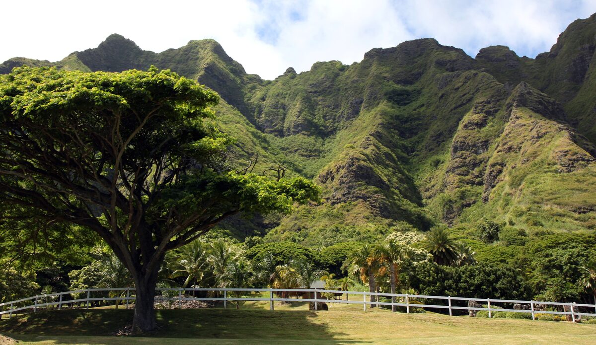 Jagged green Koʻolau ridges rising above Kualoa Ranch's open valley
