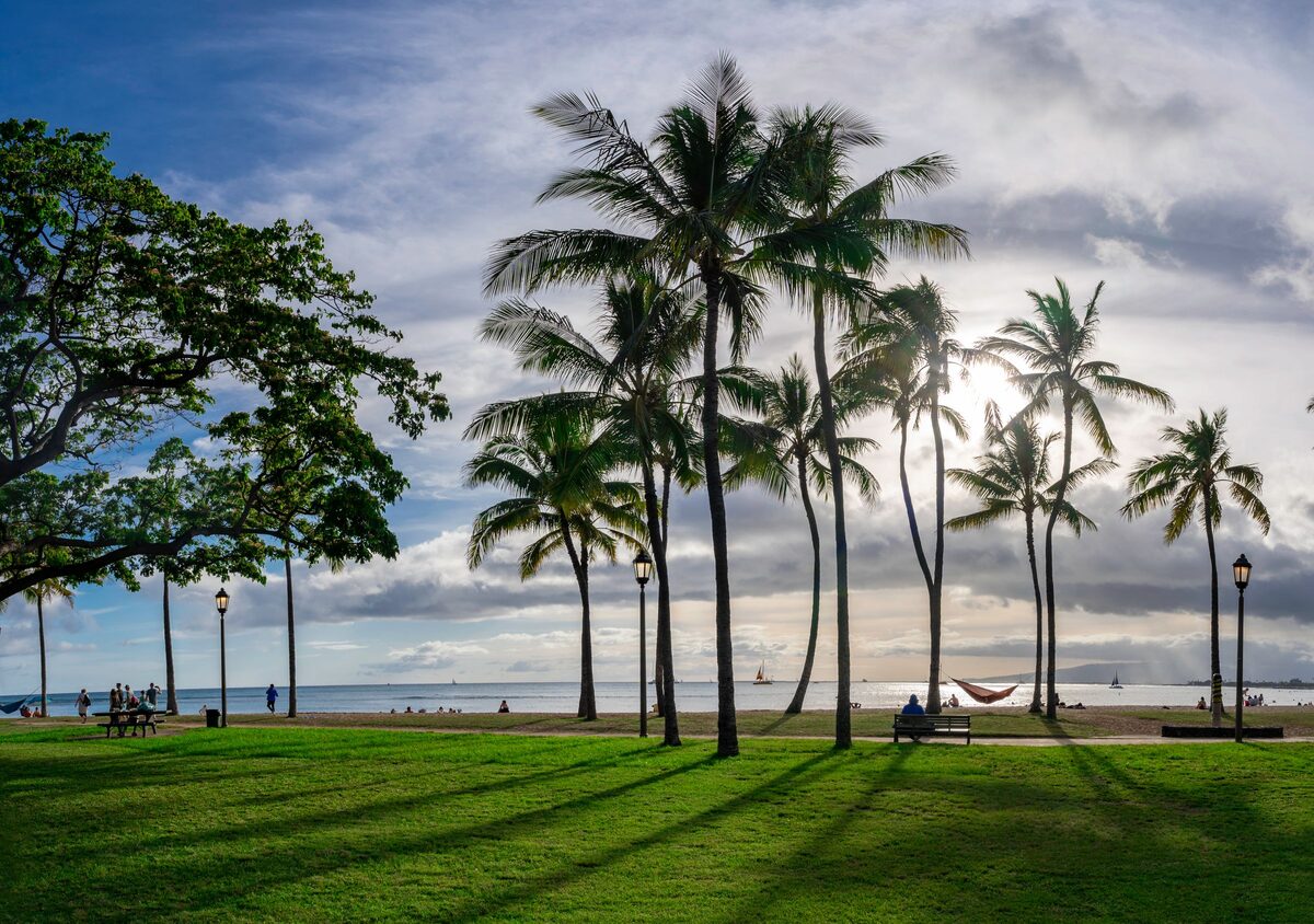 Palm trees and a lawn on Magic Island with the sea behind