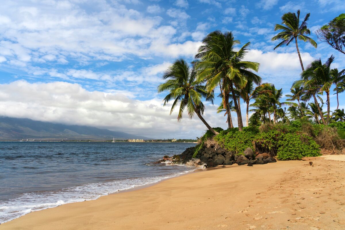 A palm-fringed Maui beach with the West Maui mountains in the distance