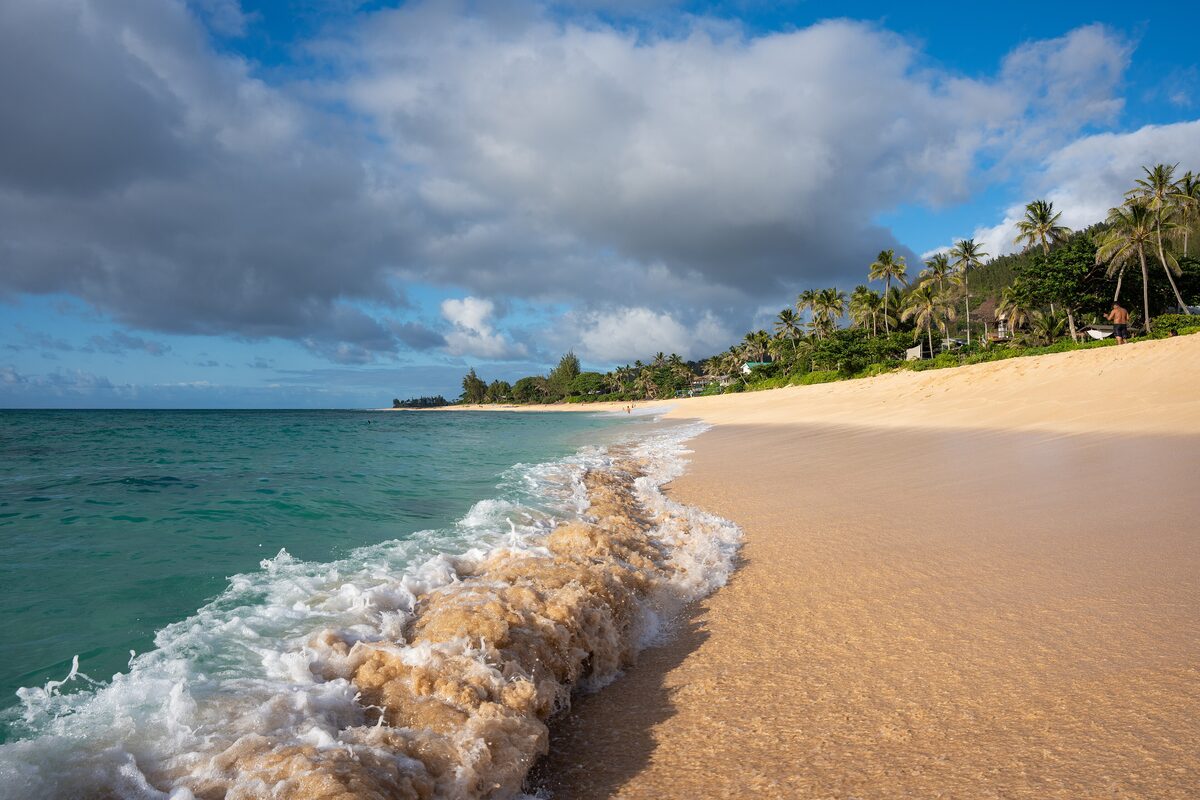 Waves rolling onto the golden sand of a North Shore beach