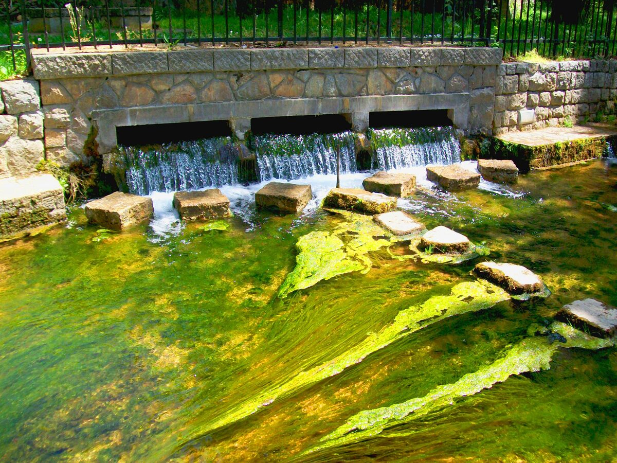 Spring water running over a low stone weir into a green, algae-covered channel at Biljanini Izvori