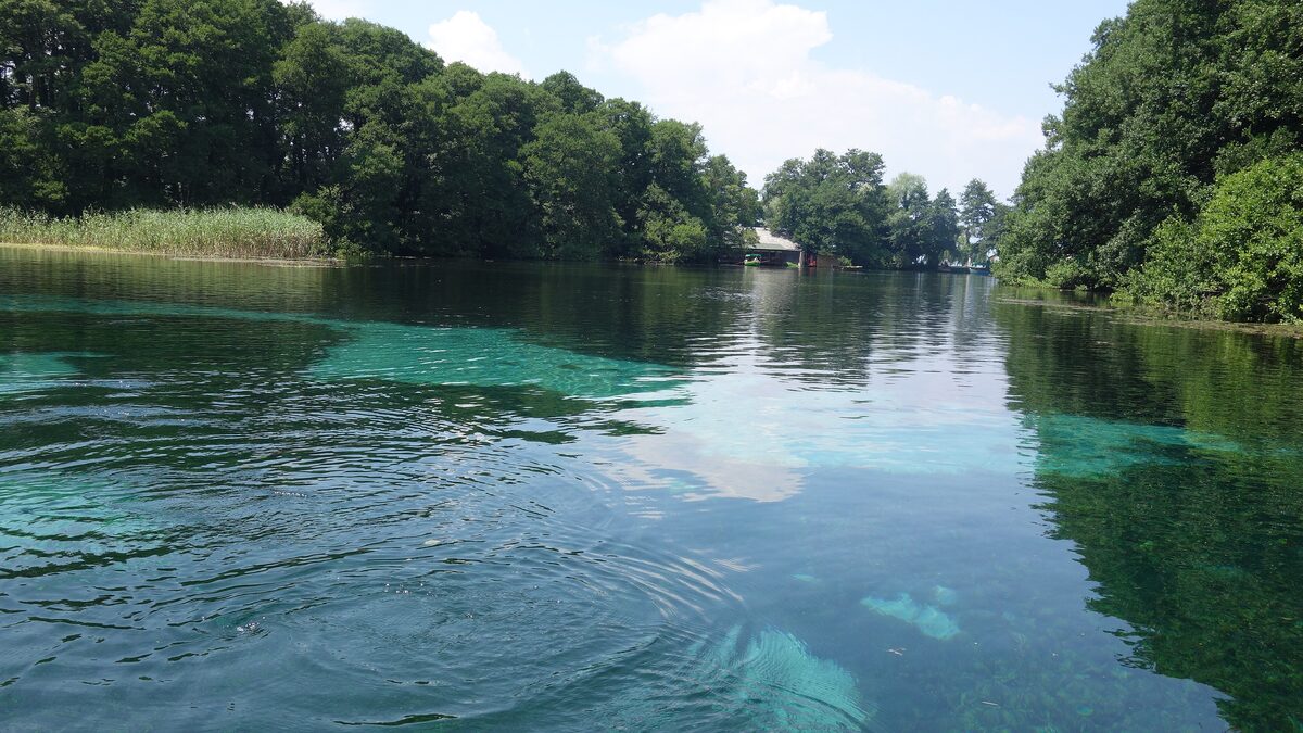 Clear turquoise spring water over a pale bed, with trees along the banks at the Black Drim springs