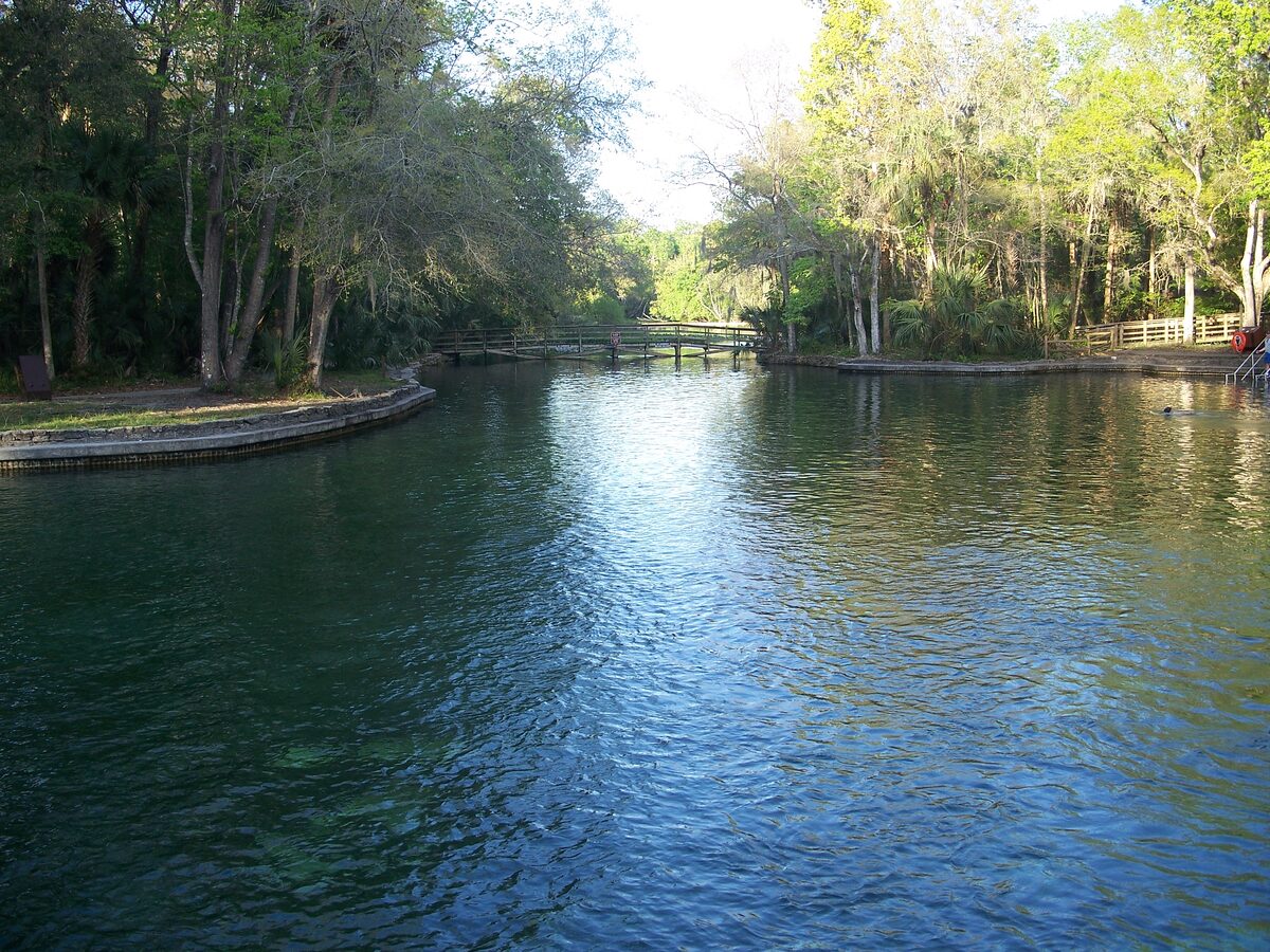 Wekiwa Springs basin with a footbridge and trees beyond