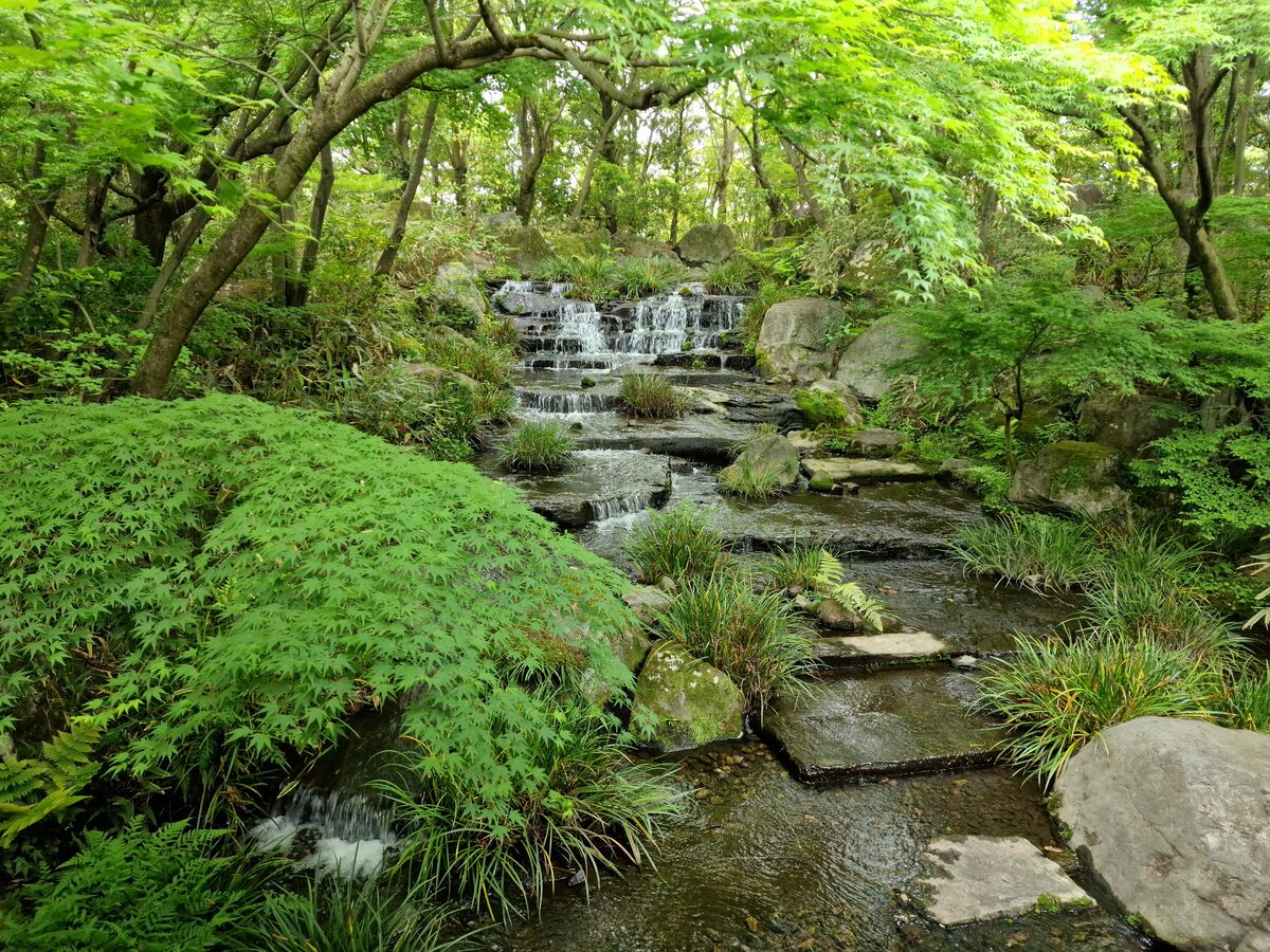 A stream tumbling over stepping stones through green trees and ferns in Koko-en garden