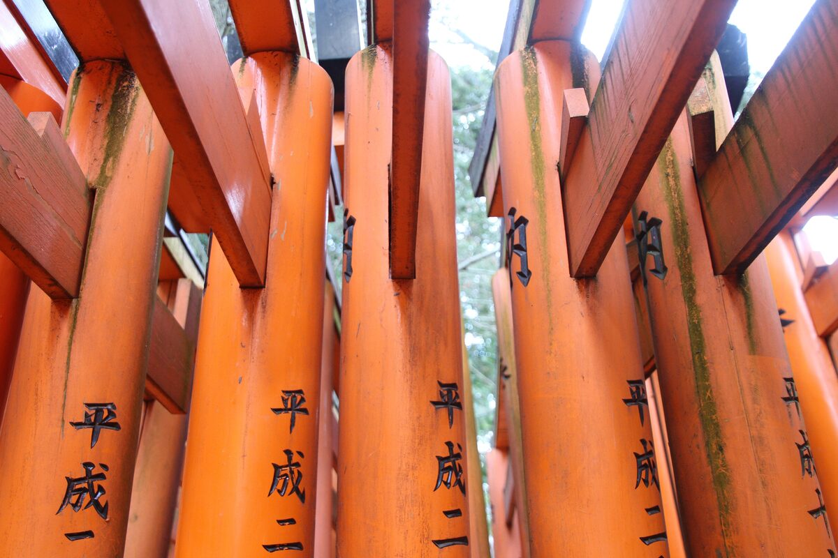 The dense rows of red torii gates along a path at Fushimi Inari Shrine in Kyoto