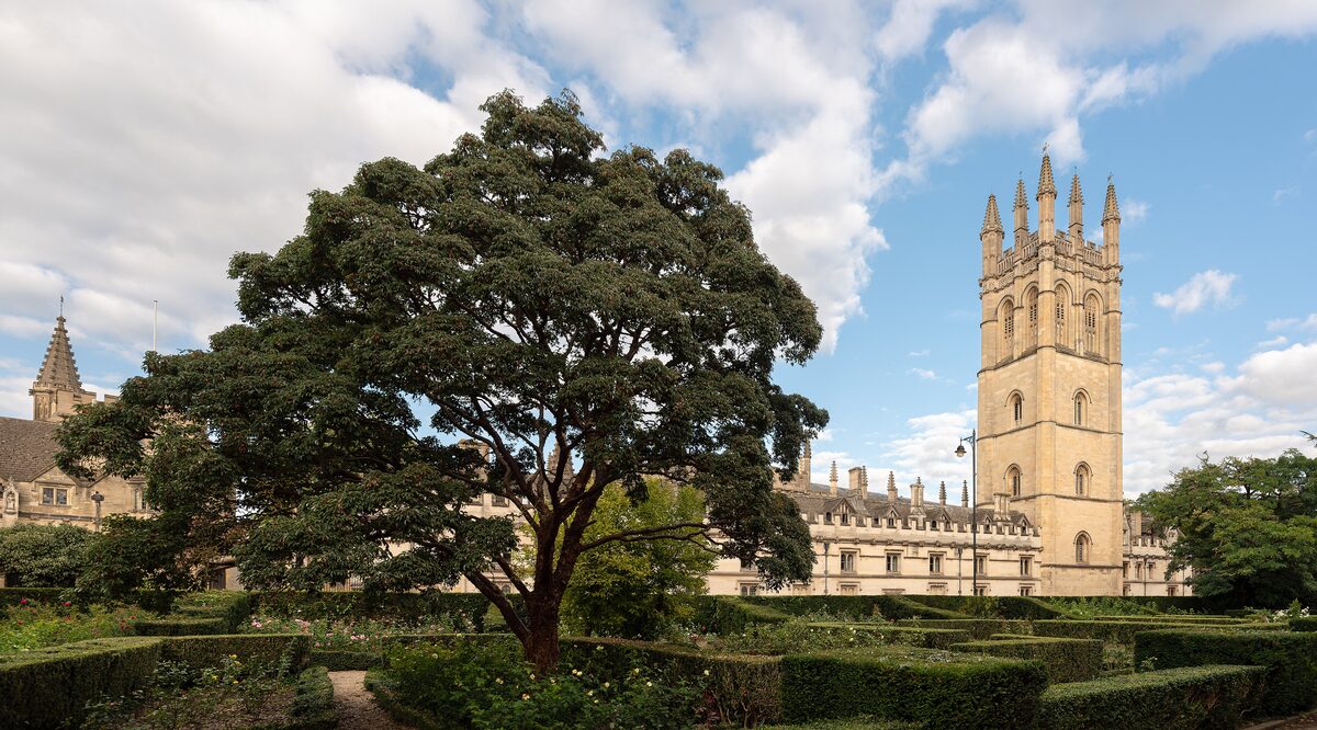 Magdalen College's tall Gothic bell tower in Oxford, seen across a garden with a large tree