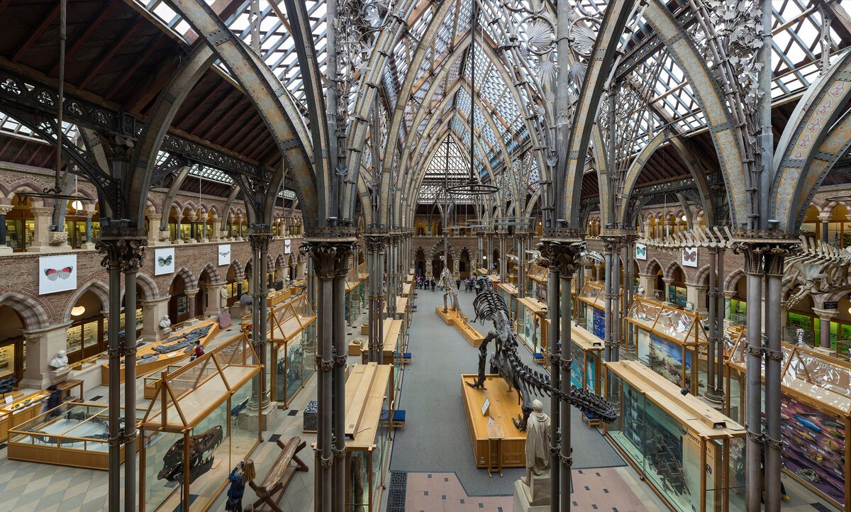 The glass-roofed neo-Gothic hall of the Oxford University Museum of Natural History, with dinosaur skeletons and iron columns