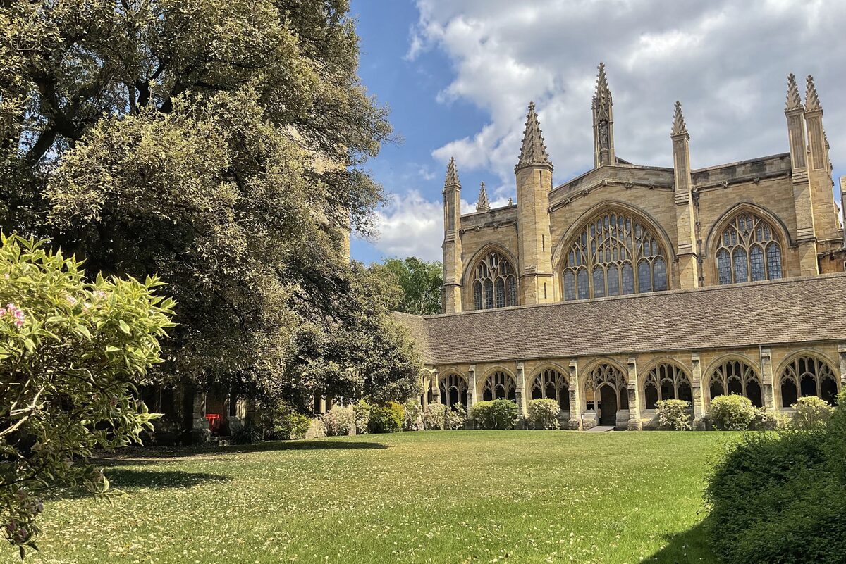 The medieval cloister of New College, Oxford, with a stone arcade around a lawn and a large old oak tree